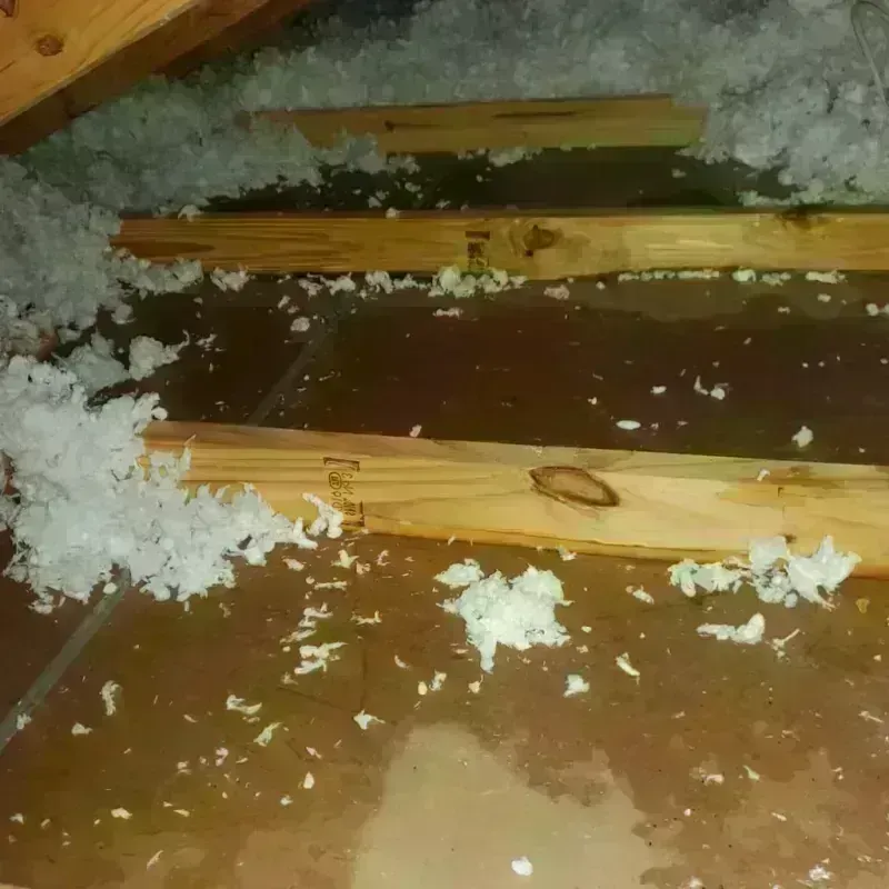 Attic Water Damage in West Park, CA